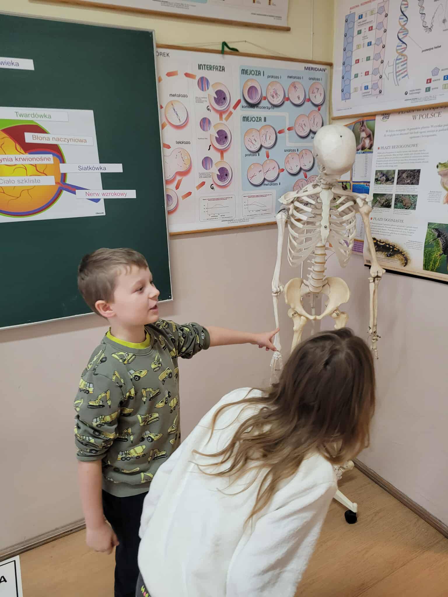 Na obrazku widać: 2 osoby, model szkieletu, plansze.