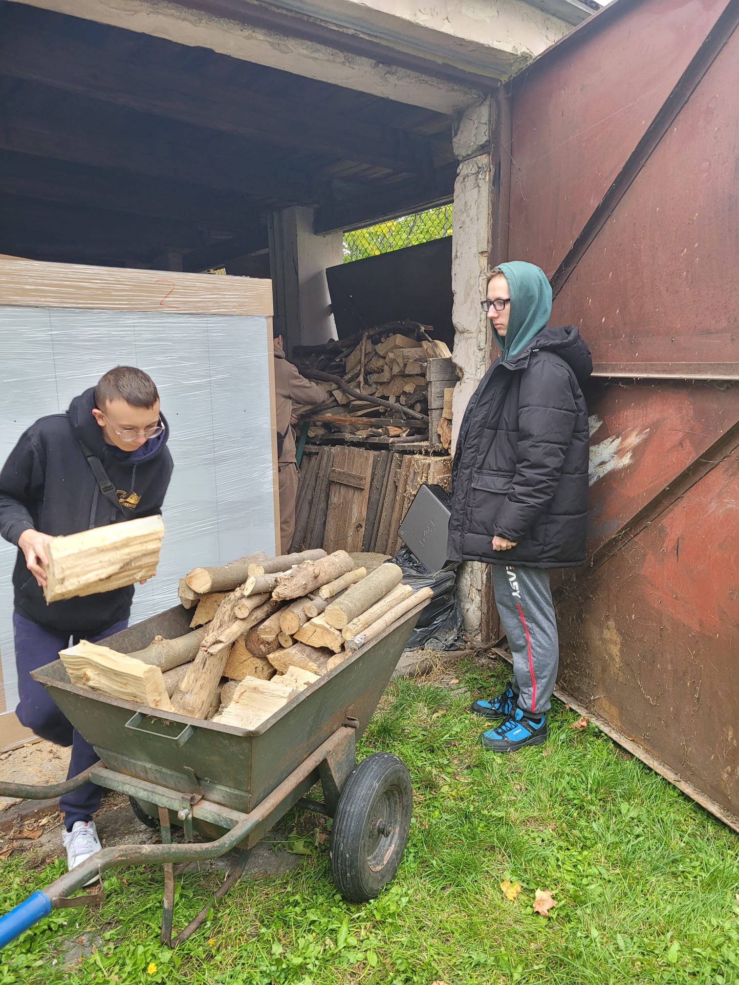 Na obrazku widać: 2 osoby, taczkę, drewno