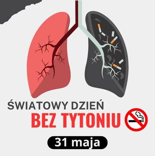 Na obrazku widać: napisy, grafikę 